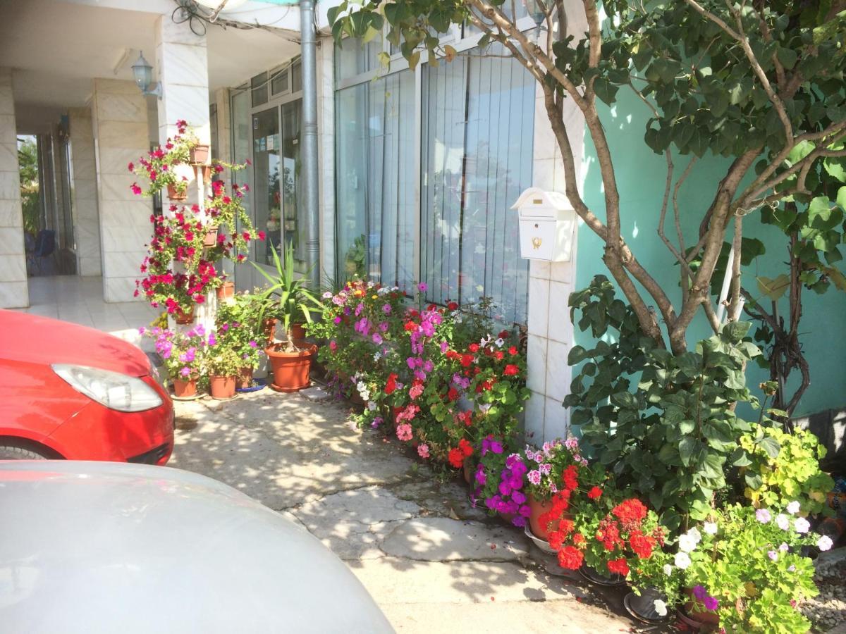 Pensiunea Simina Caransebeş Εξωτερικό φωτογραφία